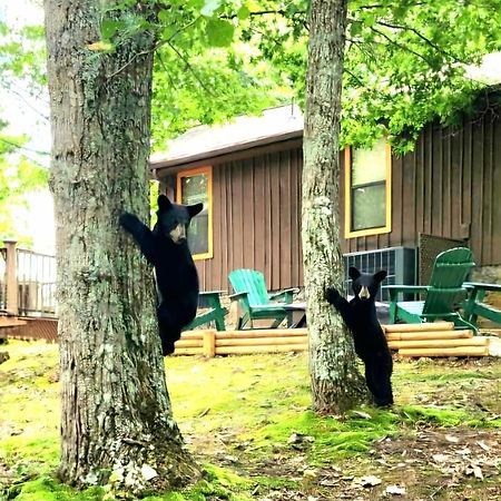 10 Miles Away From The Heart Of It All! Pigeon Forge Eksteriør bilde